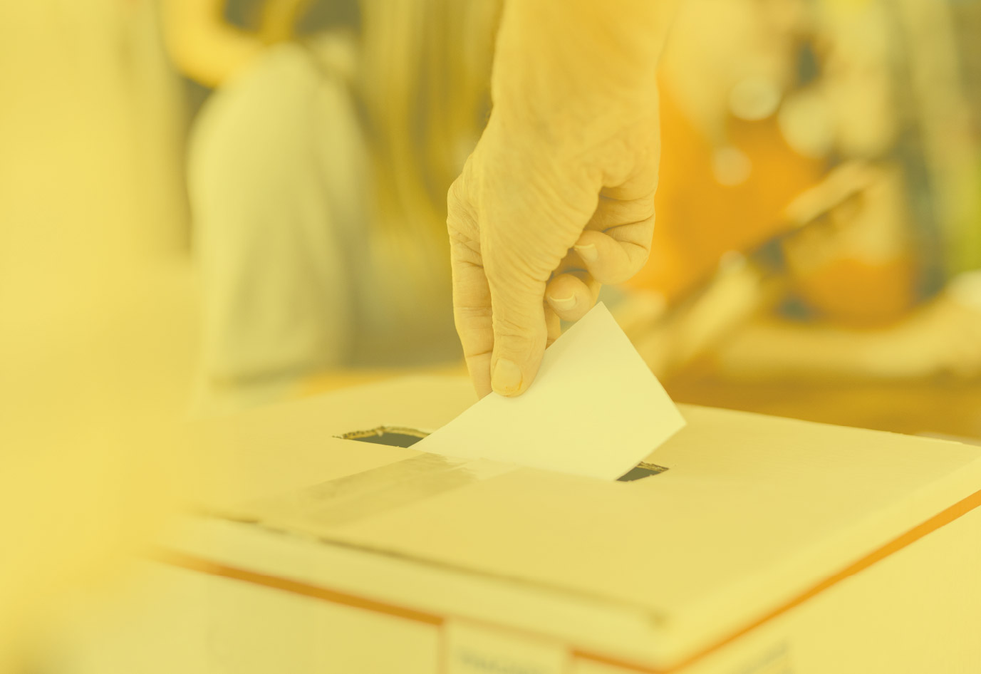 Elección de los representantes de egresados principal y suplente ante el Consejo Académico