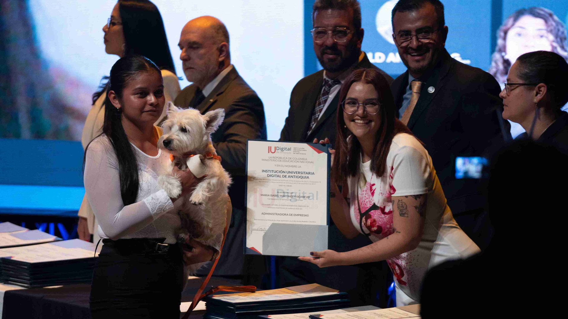 Grados públicos 20242 Grados públicos 20242